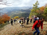 Clicca qui per vedere l'immagine in dettaglio